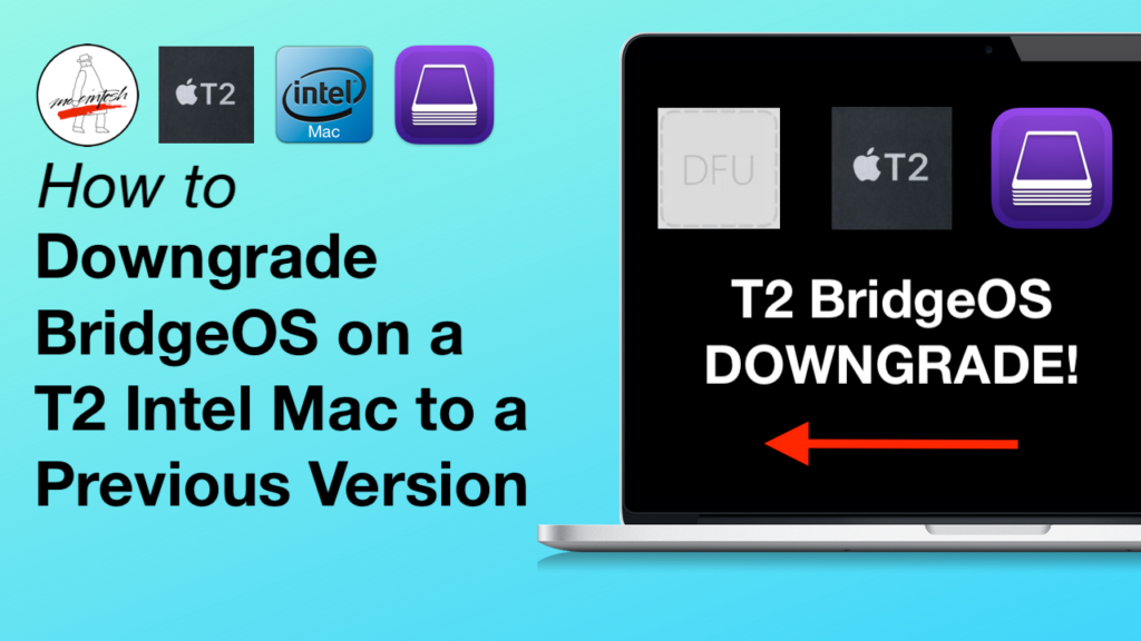 downgrade to macos big sur